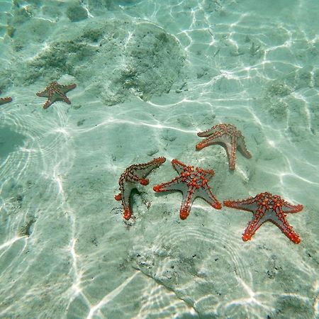 Mambo Paradise Матемве Экстерьер фото